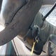 1FTZR15X0YPA46021 2000 Ford Ranger Xlt auction photo thumbnail 11