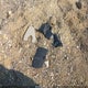 1FM5K7B92EGC27849 2014 Ford Explorer auction photo thumbnail 12