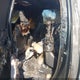 5TFHW5F19EX346075 2014 Toyota Tundra Limited 5.7L V8 auction photo thumbnail 8
