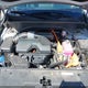 KNDRHDLG7R5236158 2024 Kia Sorento Hybrid Ex auction photo thumbnail 10