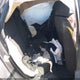 19XFL2H5XRE007846 2024 Honda Civic Lx auction photo thumbnail 8