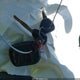 2HKRL18672H514592 2002 Honda Odyssey Ex auction photo thumbnail 11