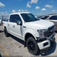 1FTEW1E49LFB15302 2020 Ford F-150 Platinum auction photo thumbnail 1