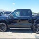 1FTEW3KP8RKF59278 2024 Ford F-150 Xlt auction photo thumbnail 13
