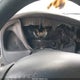 1FTZR45E72PA33029 2002 Ford Ranger Edge/Xlt auction photo thumbnail 7