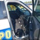 1FM5K8AR0HGD92410 2017 Ford Police Interceptor auction photo thumbnail 5