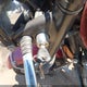 SMT910K119T378190 2009 Triumph Motorcycle Bonneville T/100 auction photo thumbnail 11