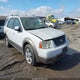 1FMDK021X5GA02253 2005 Ford Freestyle Sel auction photo thumbnail 1