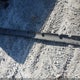 2C3CDXBG9LH140587 2020 Dodge Charger Sxt Rwd auction photo thumbnail 12