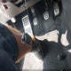 3VW5T7BU1MM003852 2021 Volkswagen Jetta Gli 2.0T Autobahn/2.0T S auction photo thumbnail 11