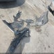 KM8JU3AC3DU715657 2013 Hyundai Tucson Limited auction photo thumbnail 12