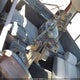 JT3FJ80W4M0018389 1991 Toyota Land Cruiser Fj80 auction photo thumbnail 12