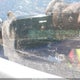 KL79MNSL8MB134570 2021 Chevrolet Trailblazer Awd Ls auction photo thumbnail 17