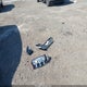 SALWR2RV6KA827114 2019 Land Rover Range Rover Sport Hse auction photo thumbnail 12