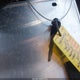 3N1AB61EX8L687422 2008 Nissan Sentra 2.0S auction photo thumbnail 11