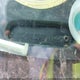 2C4GP64L35R241744 2005 Chrysler Town & Country Limited auction photo thumbnail 11