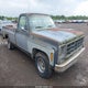 TCZ149S535646 1979 Chevy Pick Up auction photo thumbnail 1