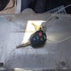 5YFBURHE1JP773407 2018 Toyota Corolla Le auction photo thumbnail 11