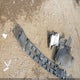 1FTEX1EPXKKD02917 2019 Ford F-150 Xlt auction photo thumbnail 12