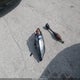 2G1125S38E9140032 2014 Chevrolet Impala 2Lt auction photo thumbnail 10