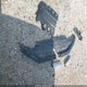 JTEBU5JR8H5428867 2017 Toyota 4Runner Sr5 Premium auction photo thumbnail 11