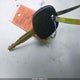 5YFBURHE4GP435363 2016 Toyota Corolla Le auction photo thumbnail 11