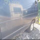 1FTPE24L8WHB27363 1998 Ford E-250 Commercial/Recreational auction photo thumbnail 6