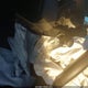 JTDBCMFE8R3036394 2024 Toyota Corolla Hybrid Se auction photo thumbnail 18