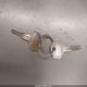 JN6ND11S2GW010968 1986 Nissan D21 Short Bed auction photo thumbnail 11