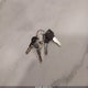1UJBJ0BT7N1T90741 2022 Jayco Jay Flight 33Rbts auction photo thumbnail 11