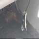 5FNRL5H68BB020845 2011 Honda Odyssey Ex-L auction photo thumbnail 11