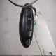 3N1CE2CP7EL377022 2014 Nissan Versa Note Sv auction photo thumbnail 11