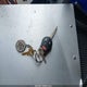 JN8AS58V19W436866 2009 Nissan Rogue Sl auction photo thumbnail 11