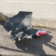 2HGFC2F50GH524451 2016 Honda Civic Lx auction photo thumbnail 12