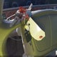 2G4WB55L3R1488930 1994 Buick Regal Custom auction photo thumbnail 11