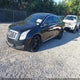2G61W5S36D9228249 2013 Cadillac Xts W20 Livery Package auction photo thumbnail 2