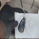 JF1SG65618H727848 2008 Subaru Forester 2.5X auction photo thumbnail 11