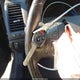 1HGCM72677A007738 2007 Honda Accord 2.4 Ex auction photo thumbnail 11