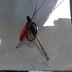 JTDBR32E642046905 2004 Toyota Corolla Ce auction photo thumbnail 11