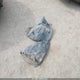 WDCGG5GB7CF780525 2012 Mercedes-Benz Glk 350 auction photo thumbnail 12