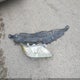 4T1BK46K17U518135 2007 Toyota Camry Xle V6 auction photo thumbnail 12