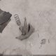 1N4AL2APXAN534393 2010 Nissan Altima 2.5 S auction photo thumbnail 12