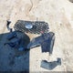 1FM5K8GC5MGA51758 2021 Ford Explorer St auction photo thumbnail 12