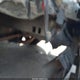 1G4HP54K75U230072 2005 Buick Lesabre Custom auction photo thumbnail 17