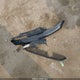 5FNYF6H10GB089064 2016 Honda Pilot Lx auction photo thumbnail 12