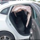 1G1ZB5ST3HF108927 2017 Chevrolet Malibu Ls auction photo thumbnail 8