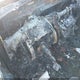 JTEBU5JR0K5628990 2019 Toyota 4Runner Sr5 Premium auction photo thumbnail 11