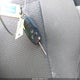 1FTEW1CP8HKD38782 2017 Ford F-150 Xlt auction photo thumbnail 11