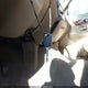 2MEFM75W31X691787 2001 Mercury Grand Marquis Ls auction photo thumbnail 11