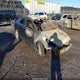 5NPE24AF6KH817778 2019 Hyundai Sonata Se auction photo thumbnail 1